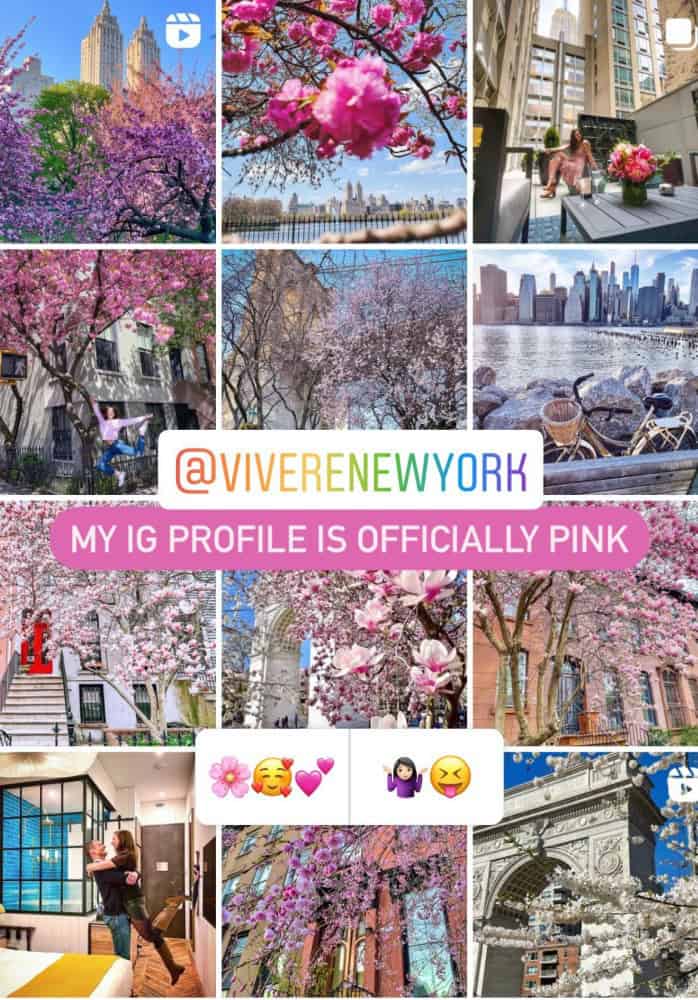 VivereNewYork instagram feed during cherry blossom season in NYC