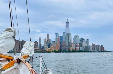 VivereNewYork - My NY. For YOU. To EXPERIENCE. VivereNewYork