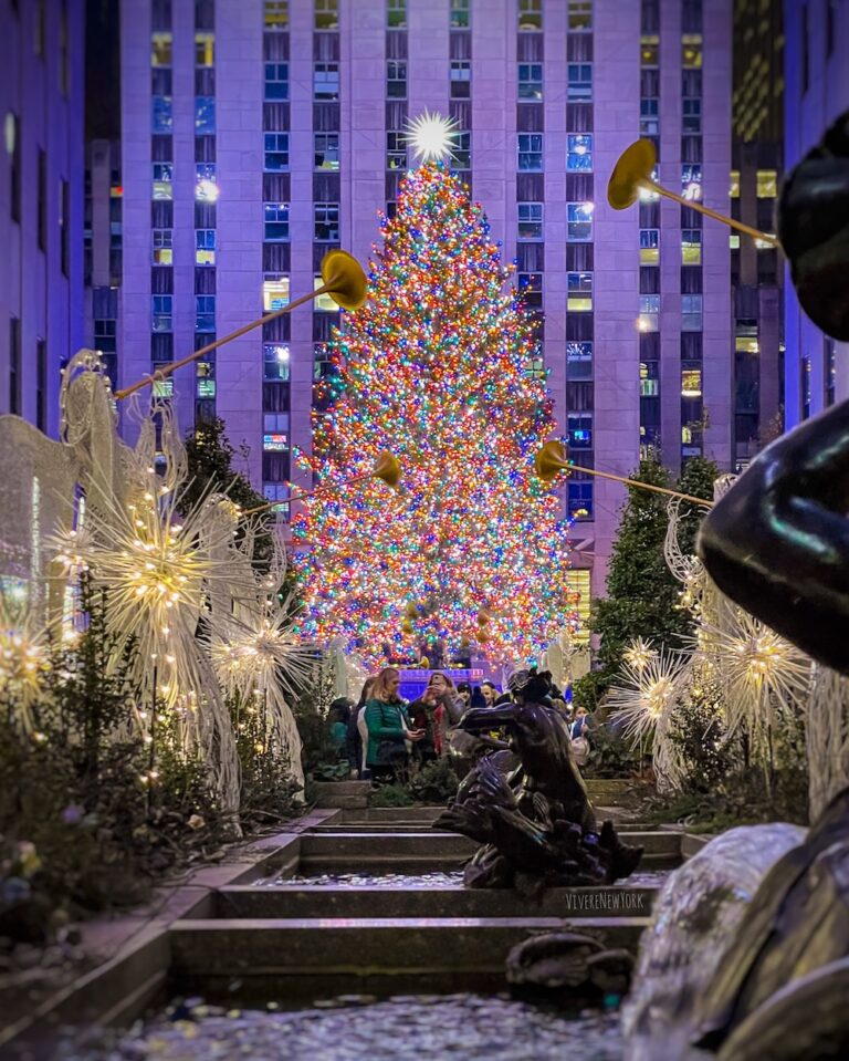 Best Christmas Trees in NYC (2025) + Lighting Dates, Insider Guide, and Map🎄✨