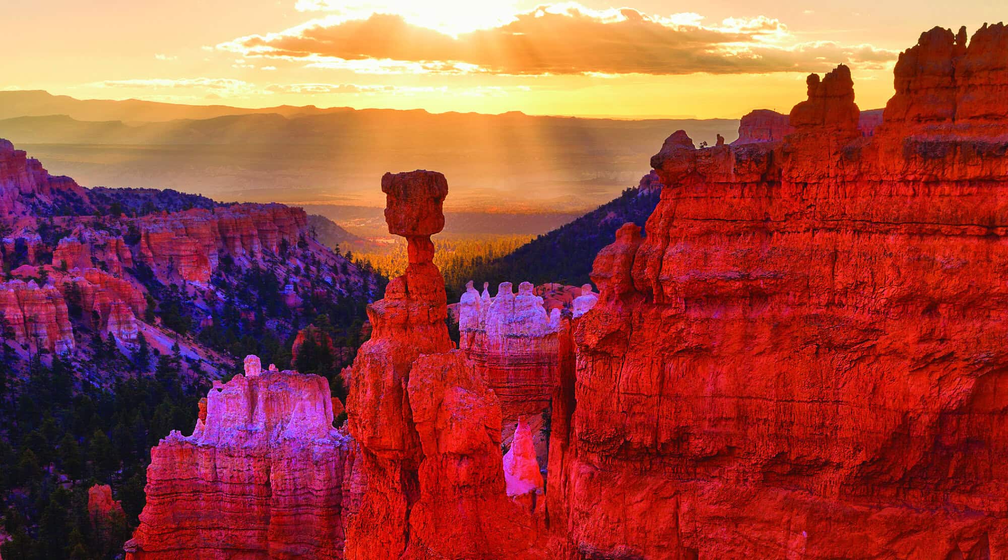 Bryce Canyon National Park aerial hoodoos red orange spires Utah panoramic landscape