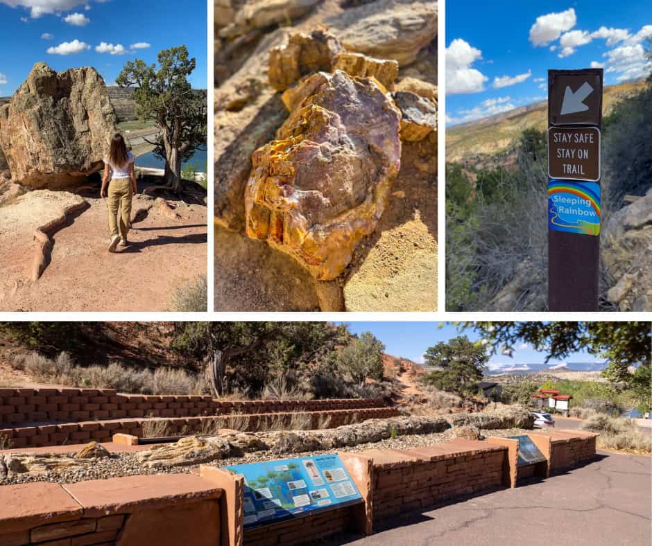Escalante Petrified Forest State Park, Utah colorful petrified logs Sleeping Rainbows Trail
