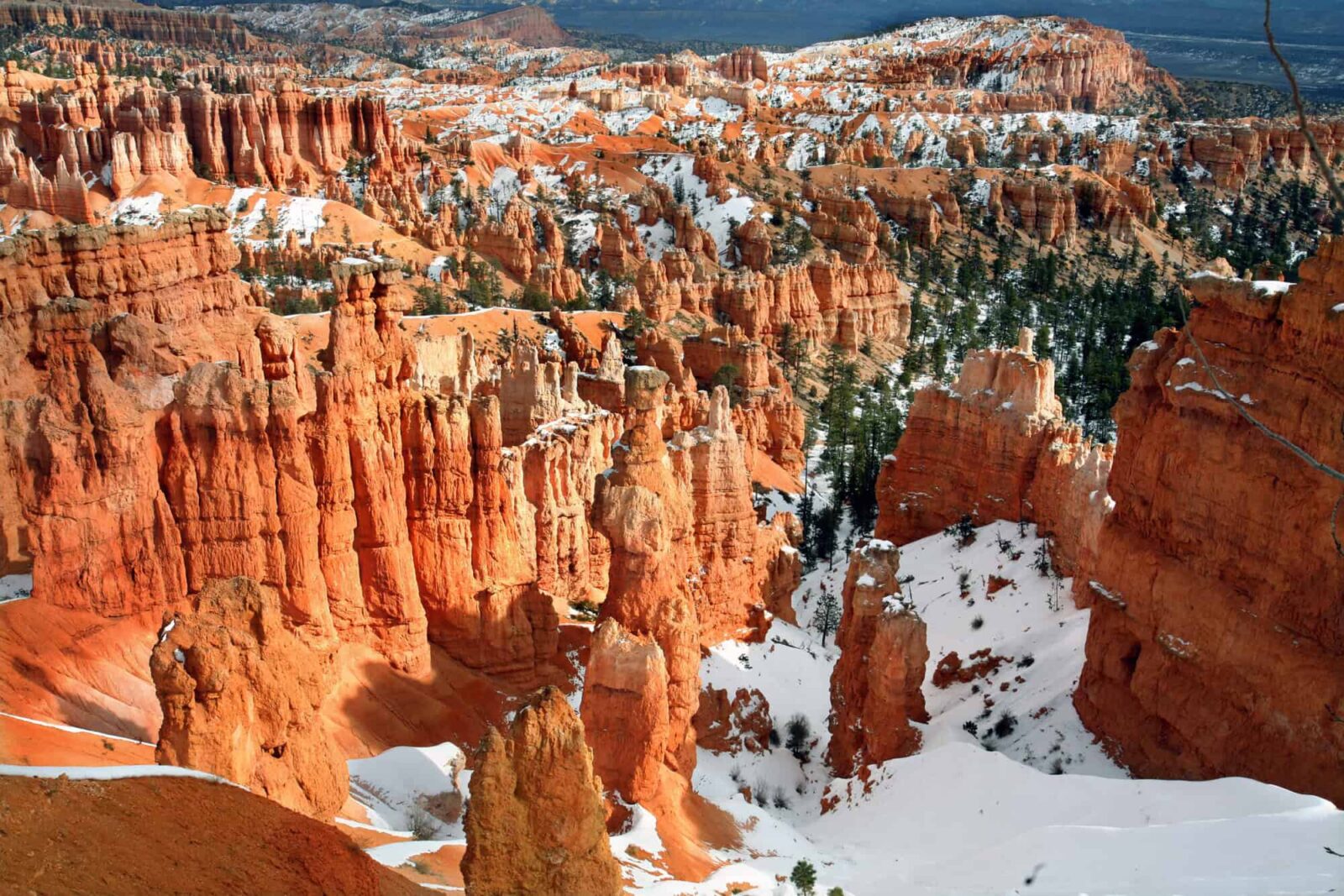 Bryce Canyon covered with snow in the winter