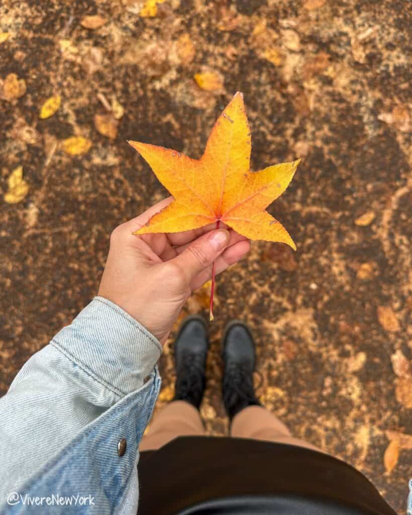 Laura in autumn outfit with a yellow leaf - New York City fall foliage