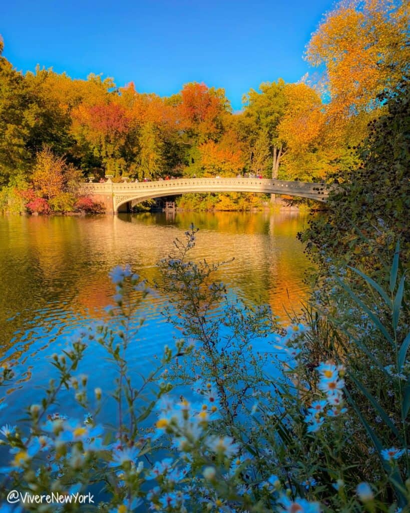 Bow Bridge in Central Park in full foliage