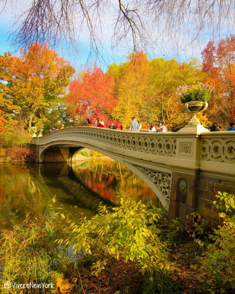 Top Things to Do in NYC in October & November – Insider Fall Guide 🍂