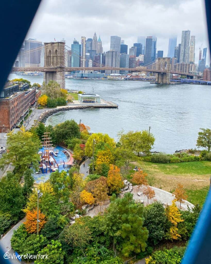 Manhattan Bridge view - Brooklyn fall foliage and Jane's Carousel. DUMBO NYC autumn skyline