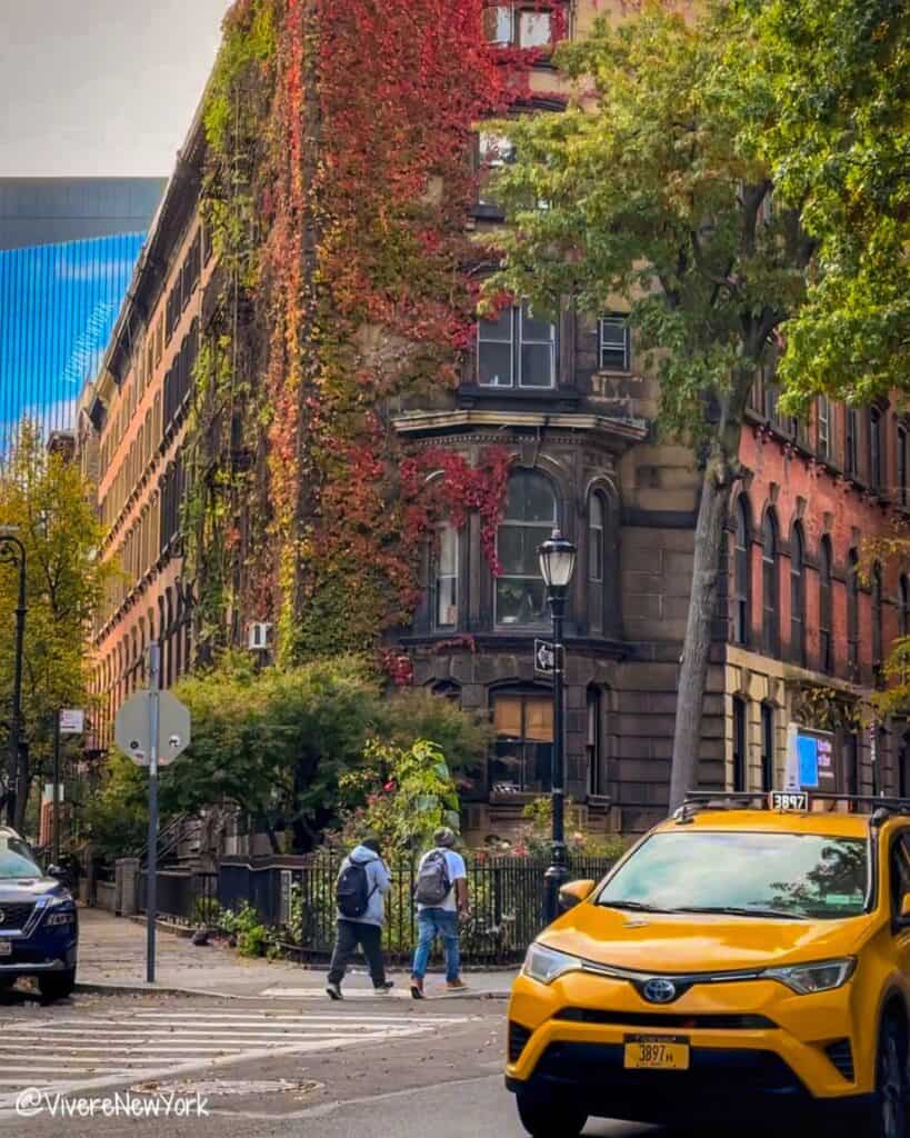 Renwick Triangle East Village NYC fall foliage - hidden gem