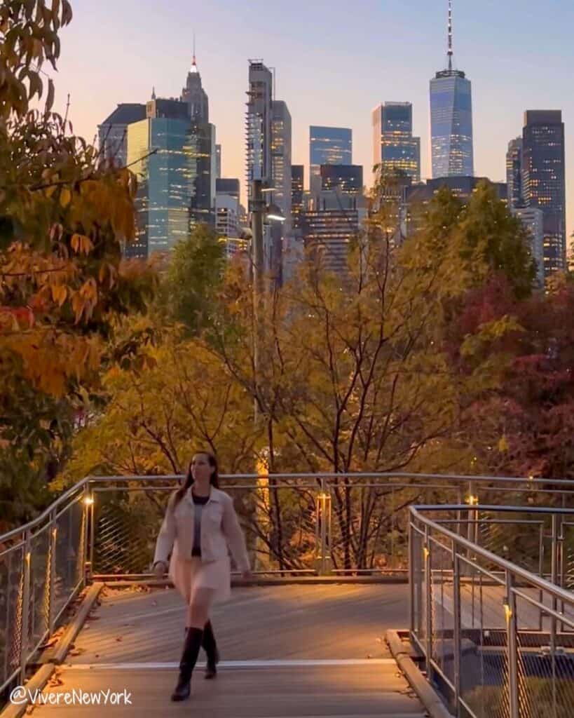 Squibb Park Bridge Brooklyn Heights Promenade fall foliage Manhattan skyline NYC autumn