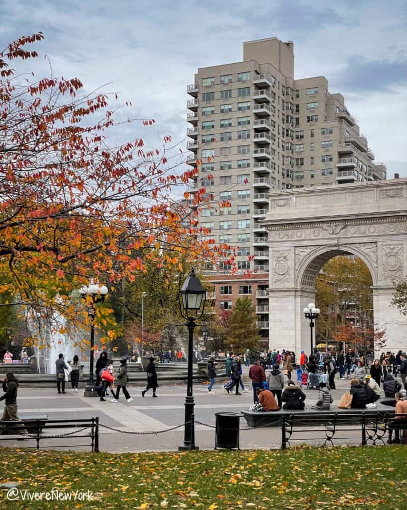 Washington Square Park fall foliage arch golden leaves Greenwich Village NYC November