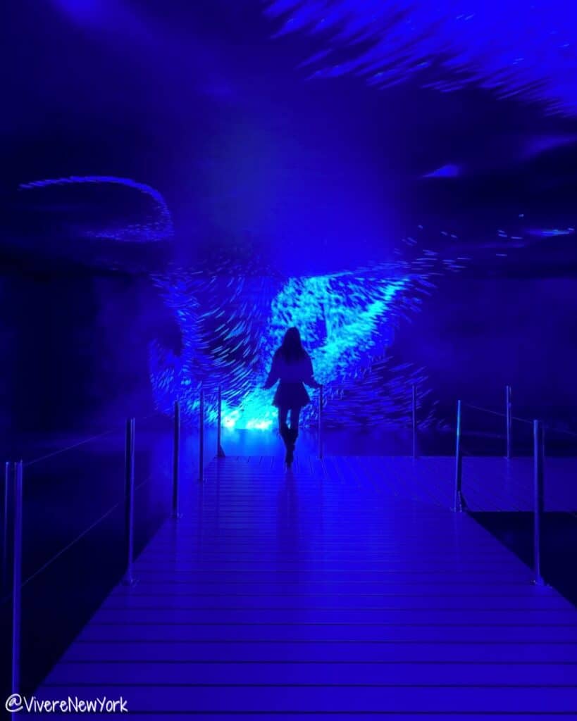 The blue immersion projection symbolising empathy in CHROMA: Tales Between Hues at Genesis House NYC