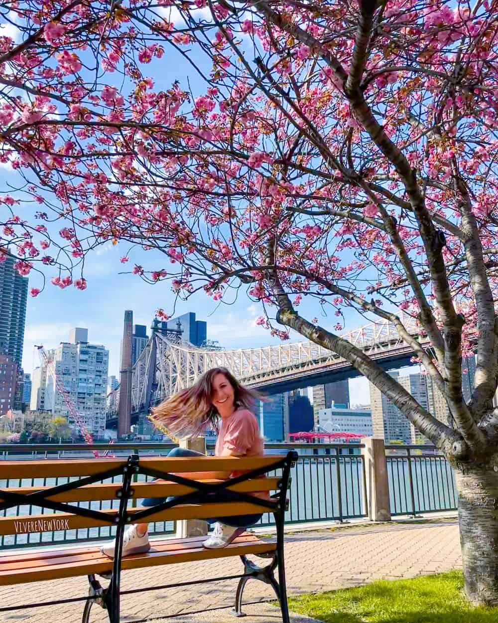 Laura Giromini sitting under cherry blossom tree on Roosevelt Island with Queensboro Bridge and NYC skyline in background - spring in New York City