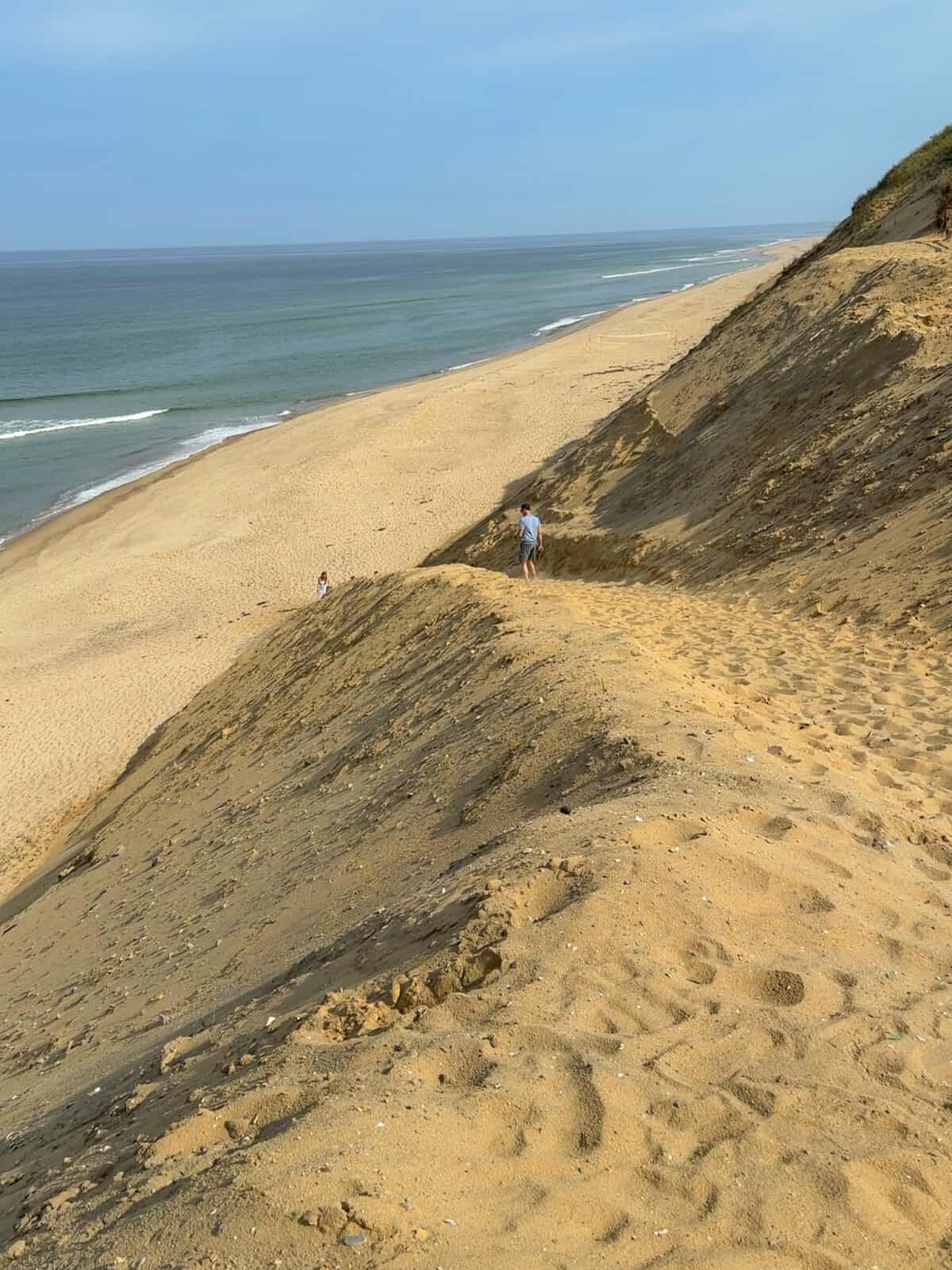 A high-angle view looking down the massive, steep golden sand dune slope of Cahoon Hollow Beach leading down to a vast, sandy shoreline and the blue Atlantic Ocean in Wellfleet.