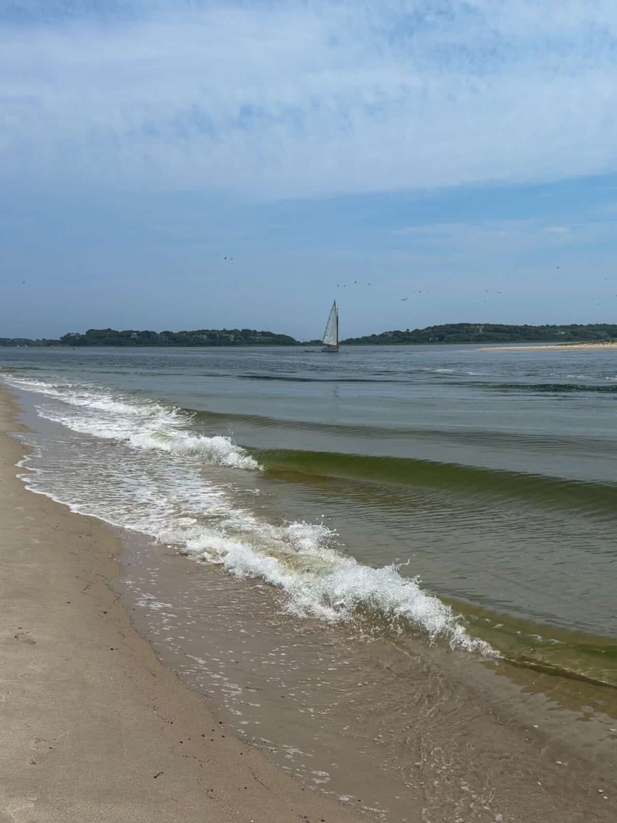 Gentle ocean waves lap against a quiet sandy shoreline in Chatham, Massachusetts, with a traditional white-sailed boat cruising through the calm coastal waters under a bright, partly cloudy sky.