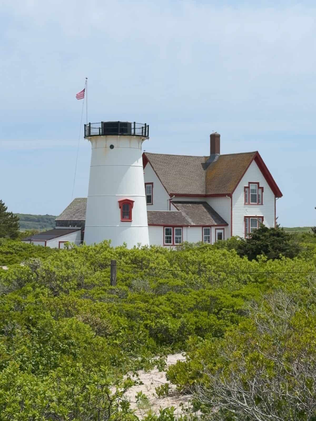 A detailed vertical shot of the historic white cast-iron Stage Harbor Lighthouse tower, flat-capped with a black railing and an American flag flying above, positioned in front of its classic white and red wood-frame keeper's house surrounded by dense green coastal shrubs.