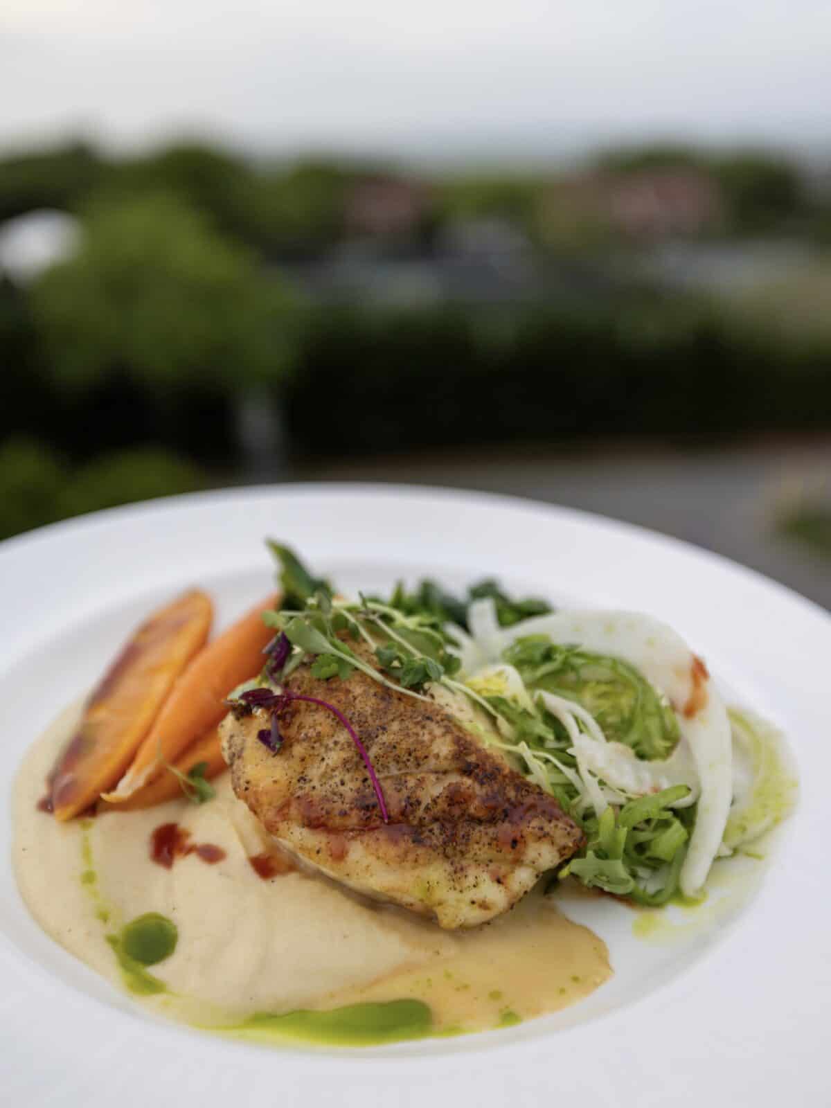 A gourmet fine-dining plate featuring a pan-seared halibut fillet served over a creamy potato puree with glazed heirloom carrots, a fresh arugula-fennel side salad, and a drizzle of green herb oil at Ocean Terrace inside Ocean Edge Resort.